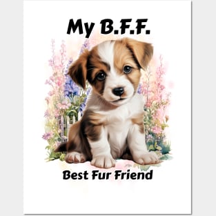 Dog - B.F.F. border collie Posters and Art